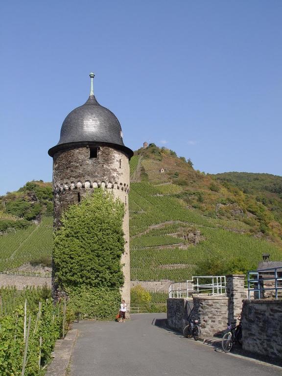 Pension Adelheid Moselhype&Wine Zell an der Mosel Εξωτερικό φωτογραφία